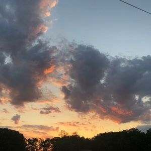 Meet your Posher, Linny